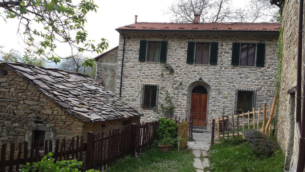 La Casa Nel Bosco-Senza Auto Guest House Ponte della Venturina ห้อง รูปภาพ