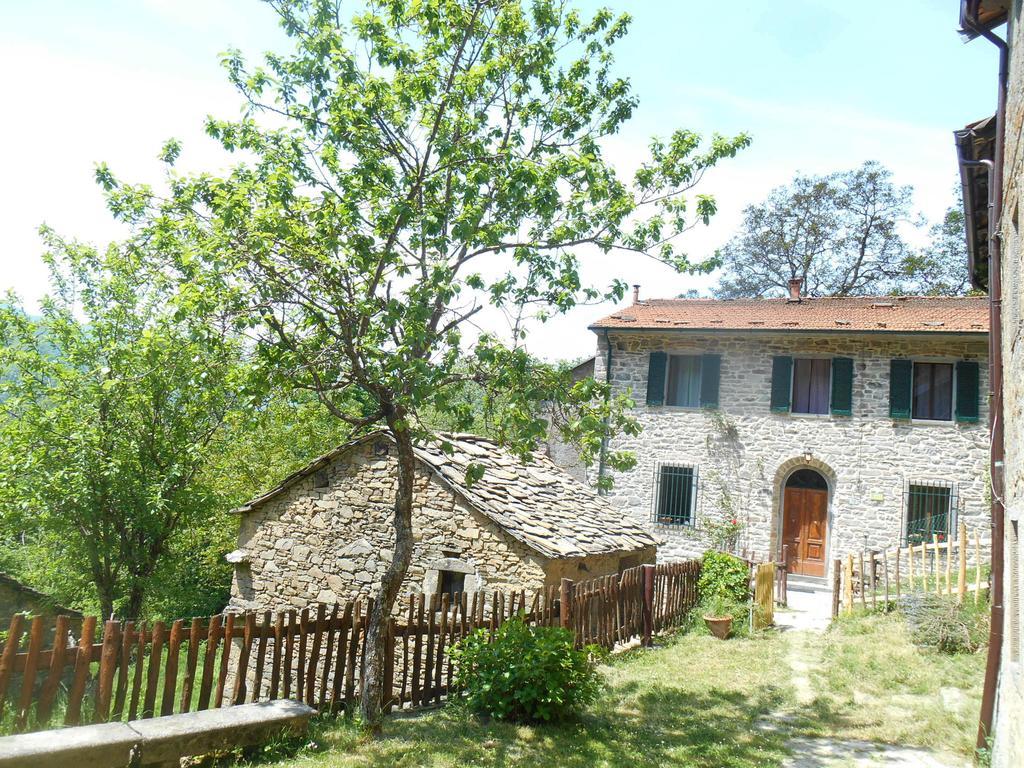 La Casa Nel Bosco-Senza Auto Guest House Ponte della Venturina ภายนอก รูปภาพ
