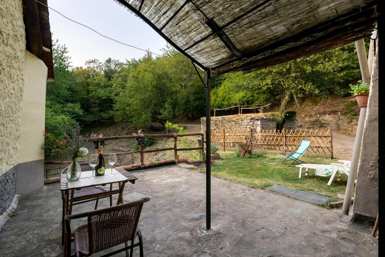 La Casa Nel Bosco-Senza Auto Guest House Ponte della Venturina ภายนอก รูปภาพ