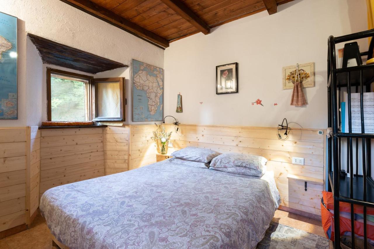 La Casa Nel Bosco-Senza Auto Guest House Ponte della Venturina ภายนอก รูปภาพ