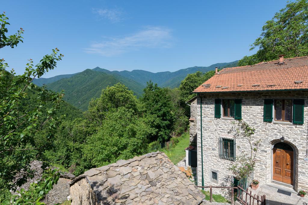 La Casa Nel Bosco-Senza Auto Guest House Ponte della Venturina ภายนอก รูปภาพ