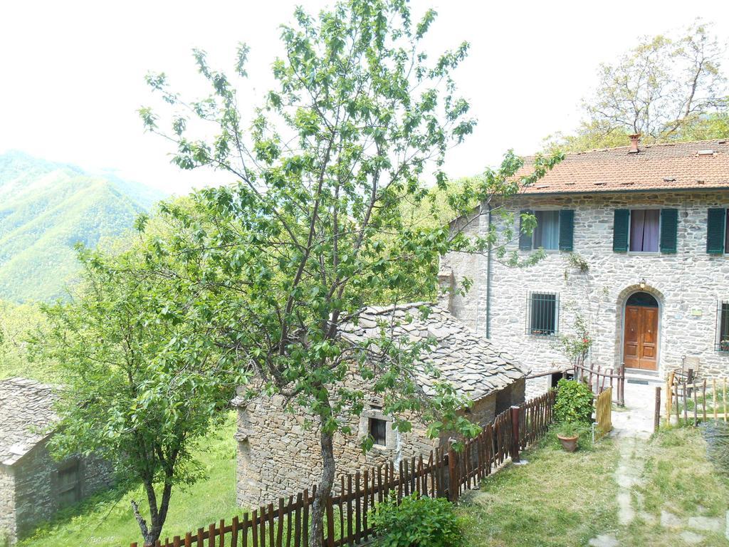 La Casa Nel Bosco-Senza Auto Guest House Ponte della Venturina ห้อง รูปภาพ