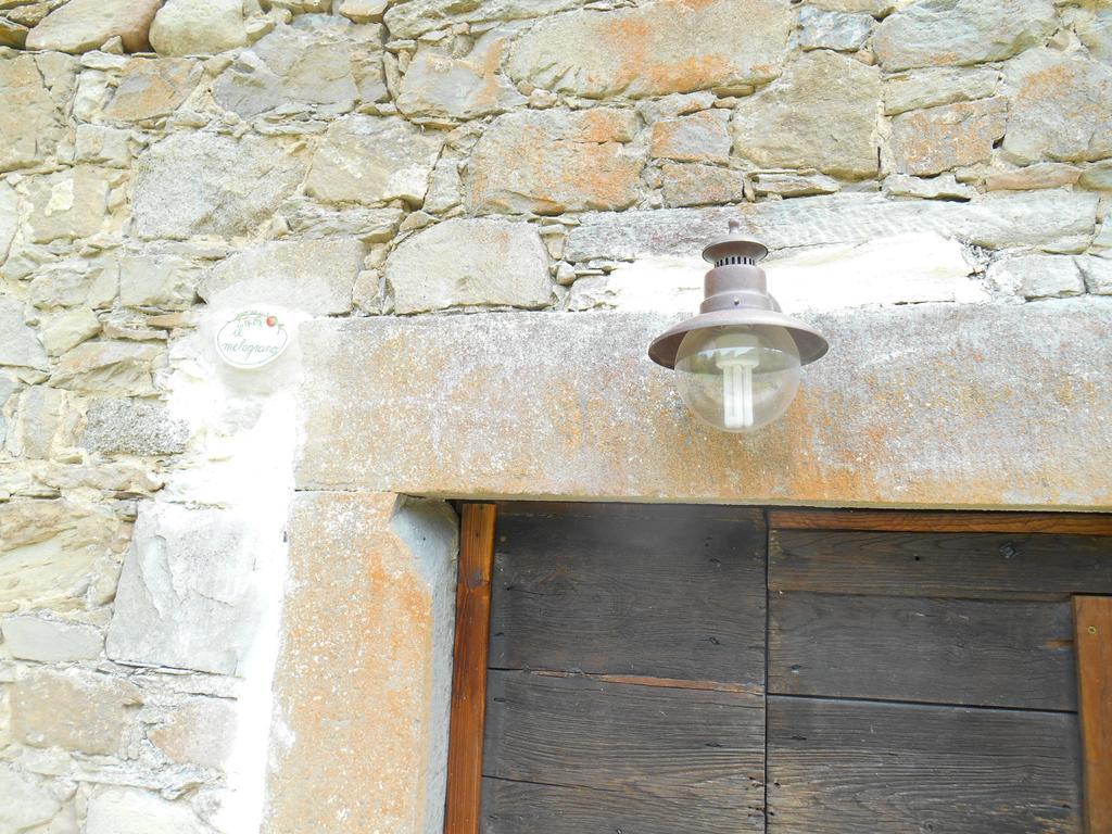 La Casa Nel Bosco-Senza Auto Guest House Ponte della Venturina ห้อง รูปภาพ