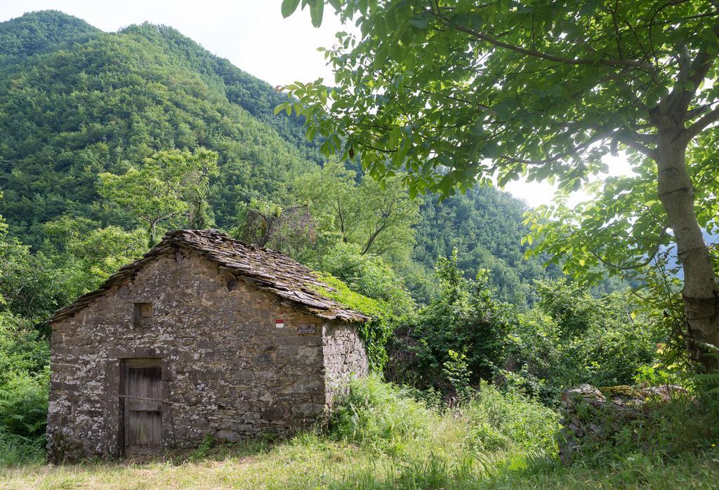 La Casa Nel Bosco-Senza Auto Guest House Ponte della Venturina ภายนอก รูปภาพ