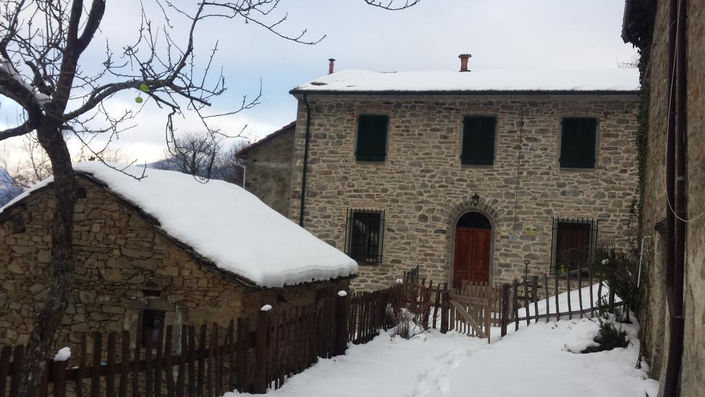 La Casa Nel Bosco-Senza Auto Guest House Ponte della Venturina ภายนอก รูปภาพ