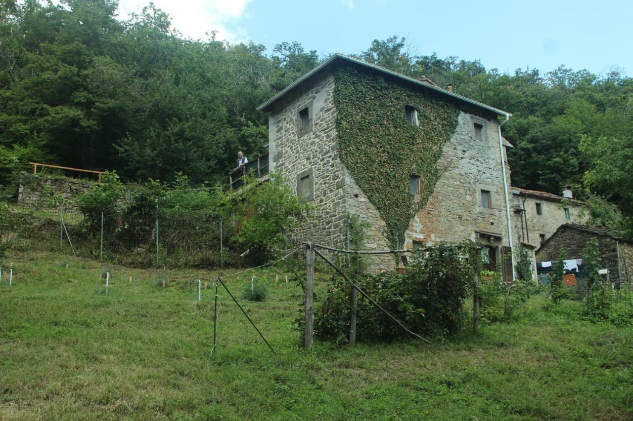 La Casa Nel Bosco-Senza Auto Guest House Ponte della Venturina ภายนอก รูปภาพ