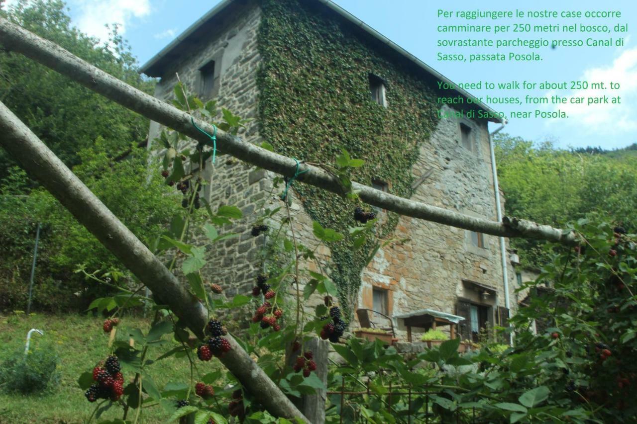 La Casa Nel Bosco-Senza Auto Guest House Ponte della Venturina ภายนอก รูปภาพ
