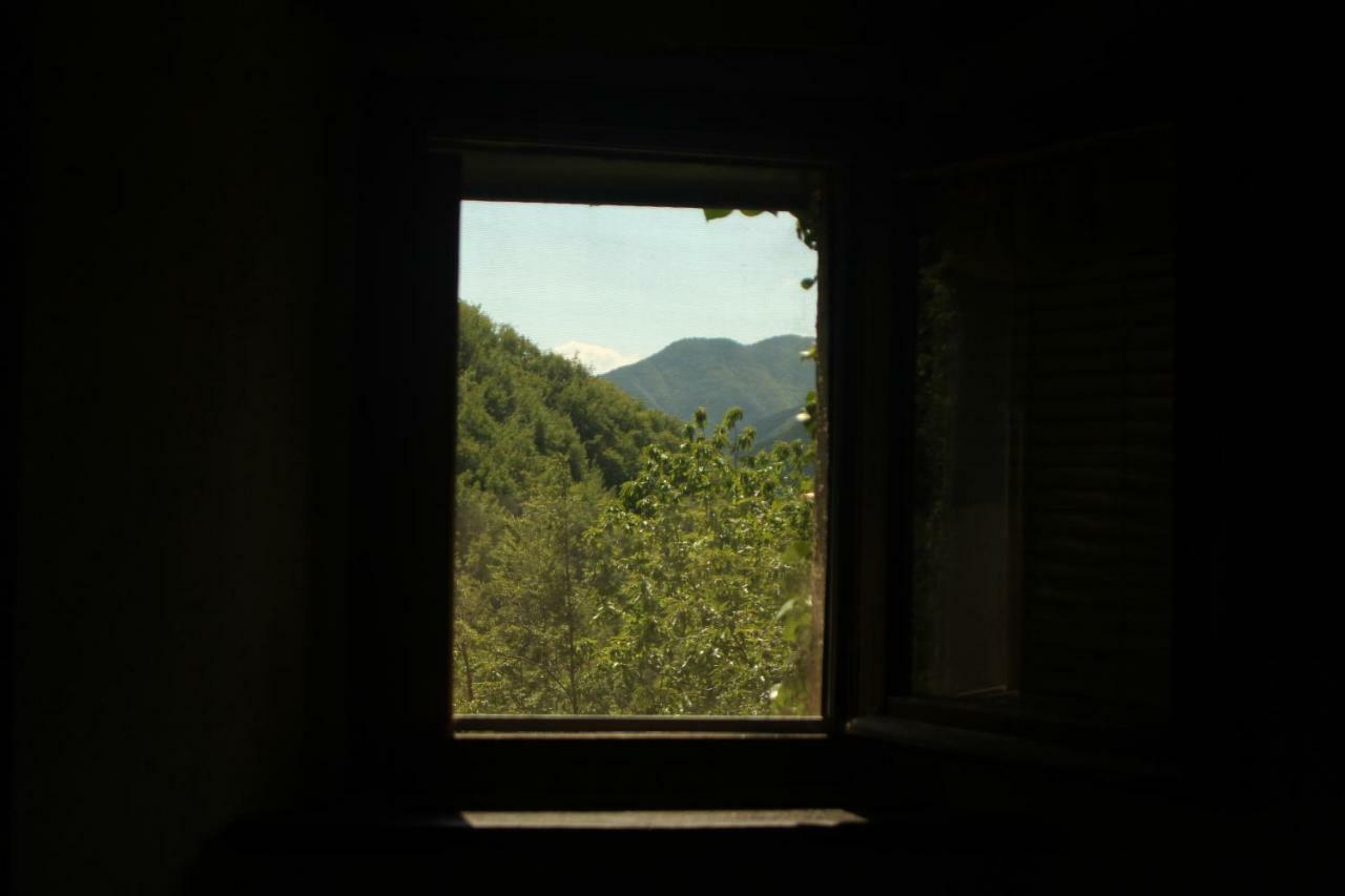 La Casa Nel Bosco-Senza Auto Guest House Ponte della Venturina ภายนอก รูปภาพ